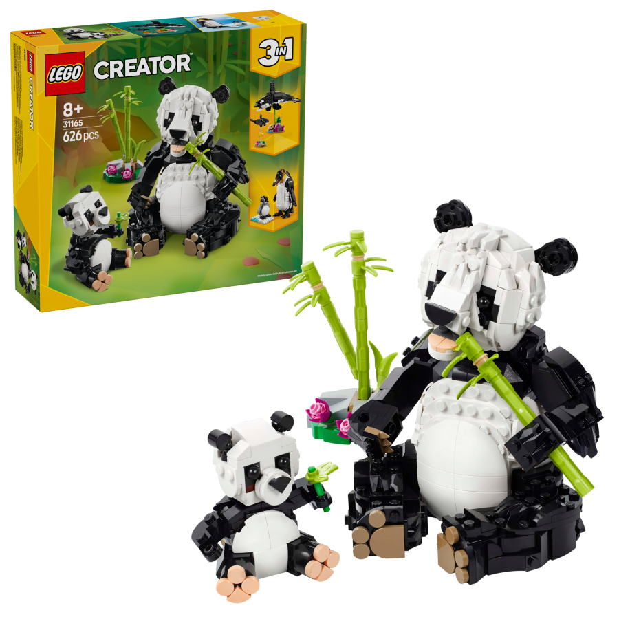 Wild Animals: Panda Family