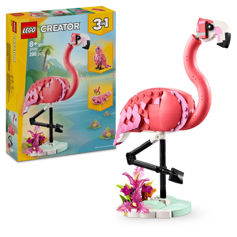 Wild Animals: Pink Flamingo