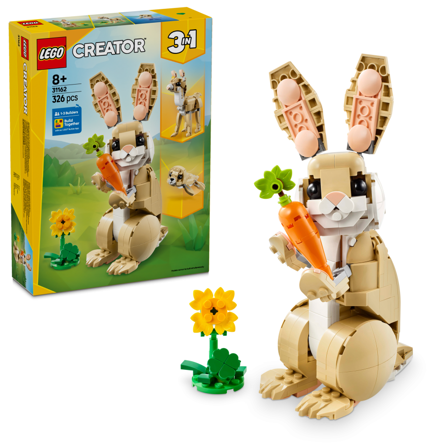 Cute Bunny
