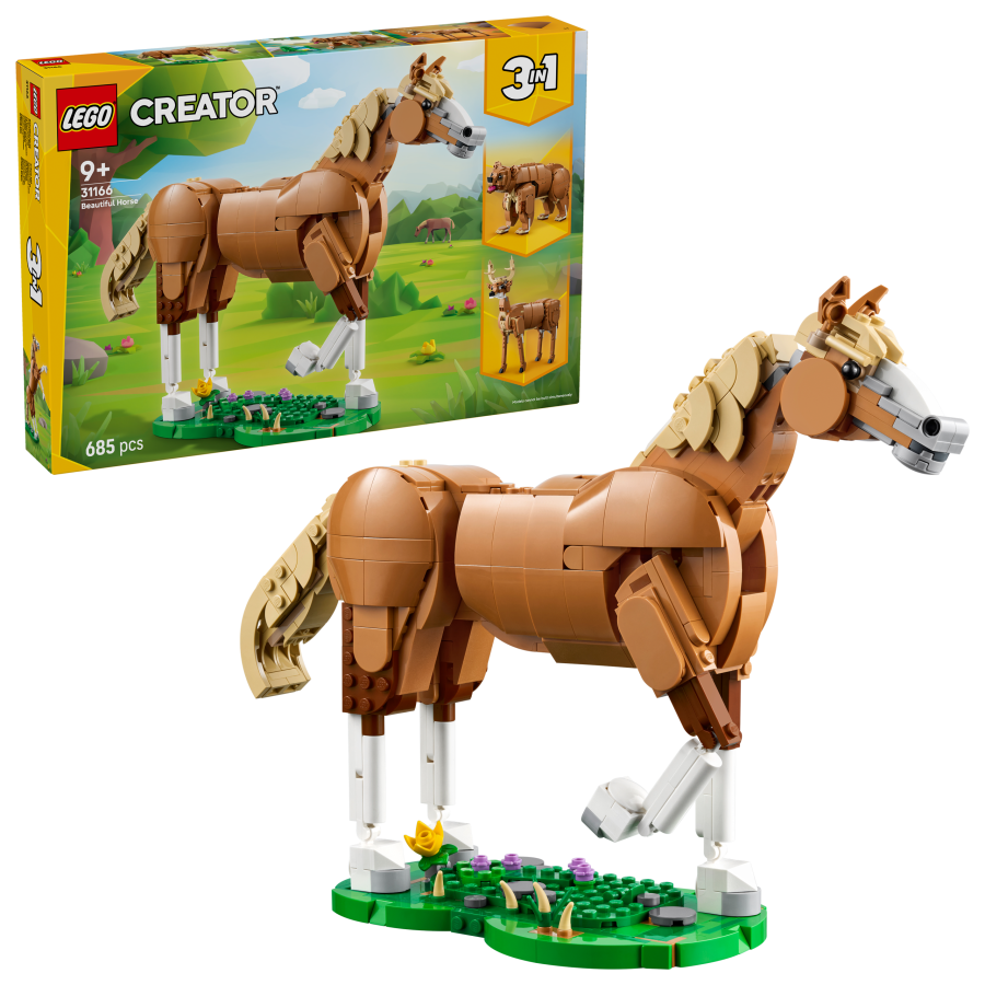 Beautiful Horse